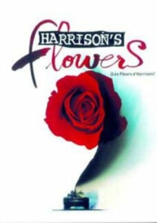 Harrison’s Flowers